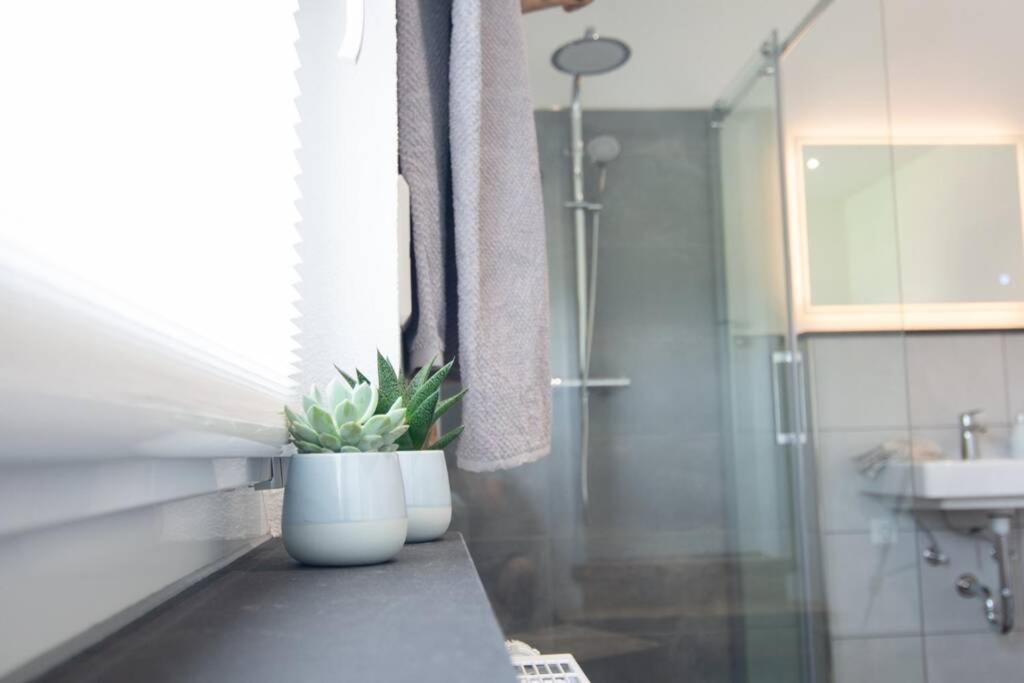 Ferienwohnung Traewa Sulzbach  エクステリア 写真